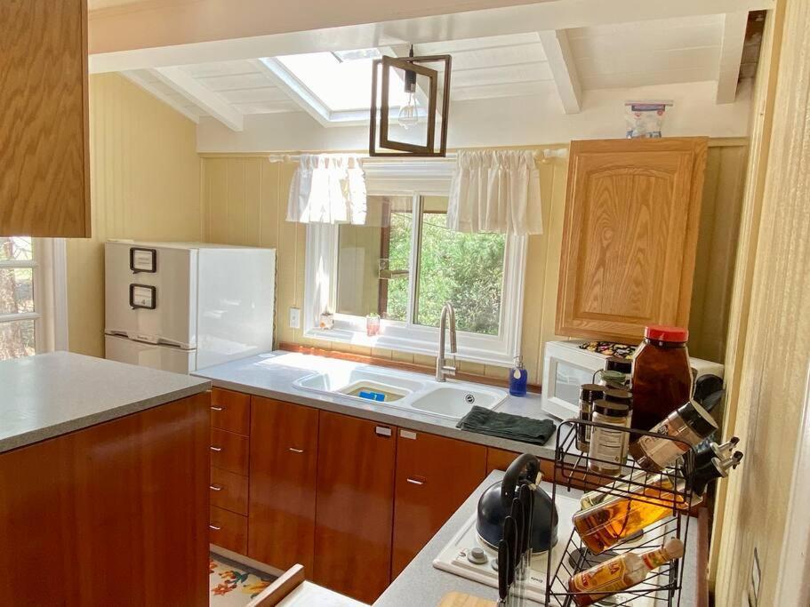Snow Bunny Cottage, Pets Welcomed! Green Valley Lake Exteriér fotografie
