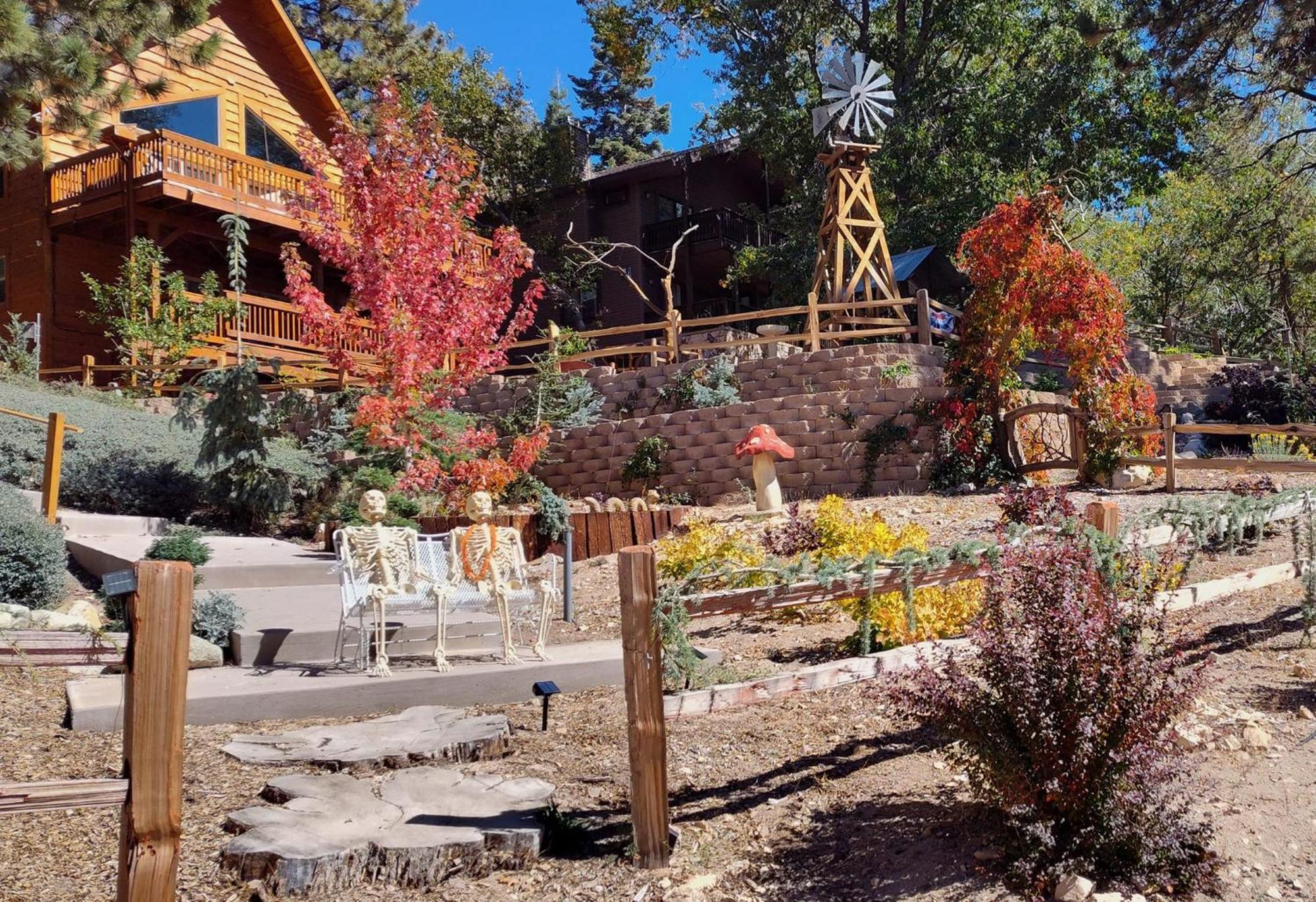 Snow Bunny Cottage, Pets Welcomed! Green Valley Lake Exteriér fotografie