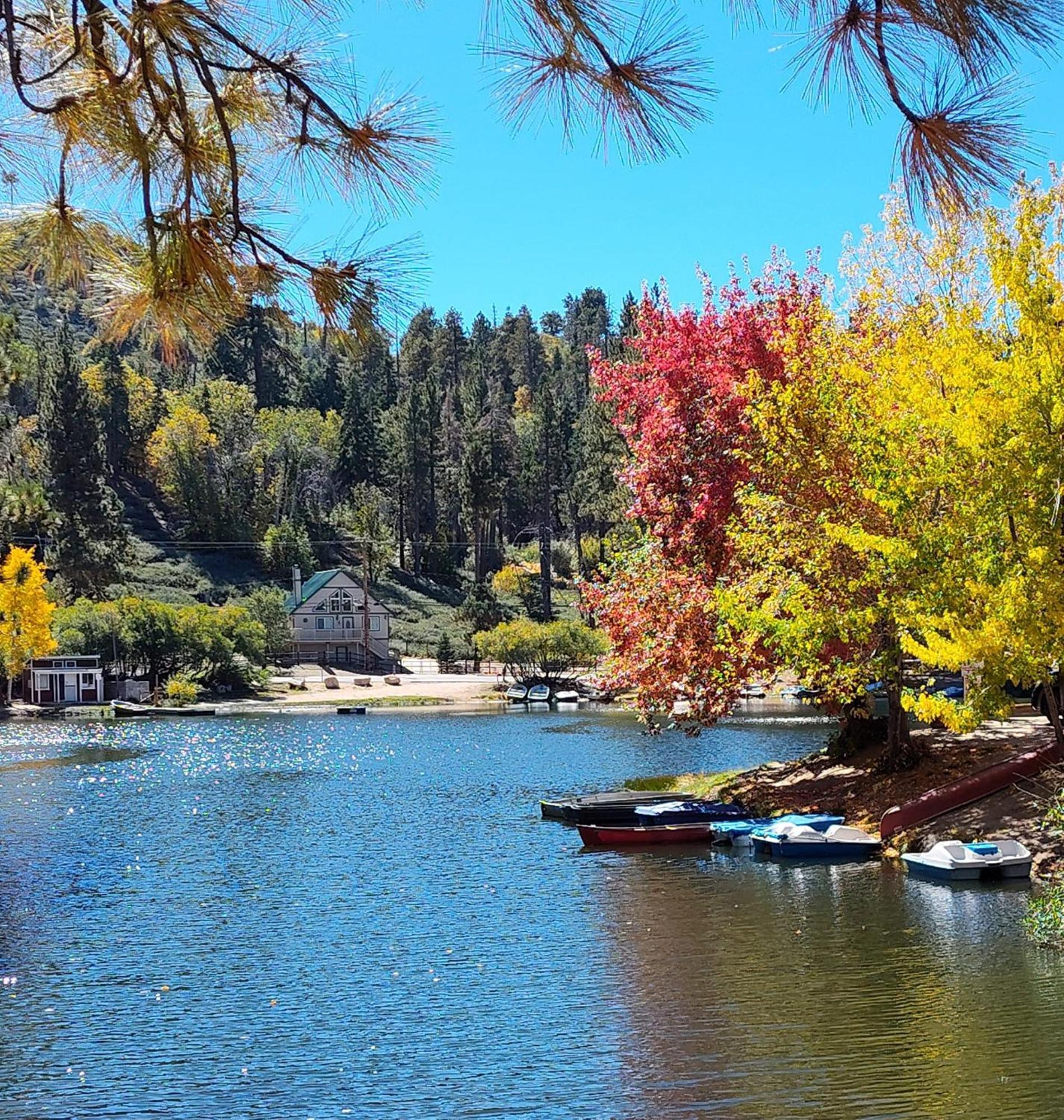 Snow Bunny Cottage, Pets Welcomed! Green Valley Lake Exteriér fotografie
